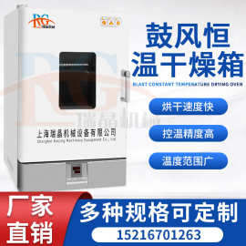电中新 恒温试验箱高低温鼓风立式不锈钢干燥箱热风循环工业烘箱