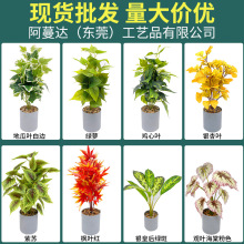 仿真绿植造景桌面小型假绿植小盆栽仿真植物小把束绿萝银杏多肉