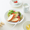 Japanese import tableware home use