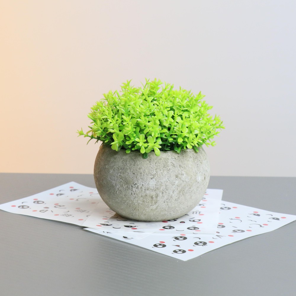 Simulación de planta carnosa en maceta bola de Milán degradable pulpa retro hemisferio ovalado maceta verde bonsai Amazon transfronterizo