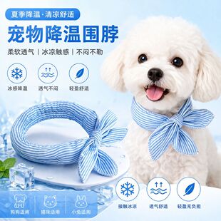 �ļ�؈�乷��������һ�����lС��Ȯ����ѩ�{�𽵜،���ɐۛ�����