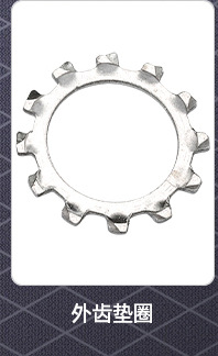 304不锈钢外多齿垫圈_02_02.jpg