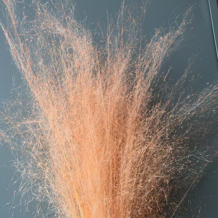 샴페인 컬러 100개