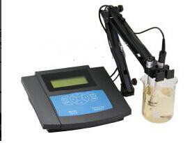 钠离子分析仪/钠离子浓度计ST10-DWS-723A库号：M216170