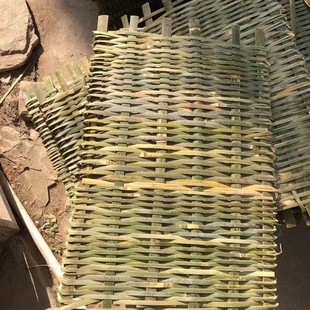 �񾎶������ֹ��������Ͷ������^��.������������������w�}�Q��