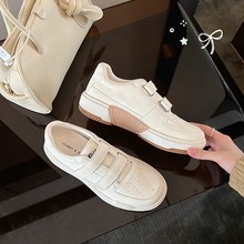 ������Ƥ��~�n��4CM��ħ�g�N���С��ЬŮ��2026�¿����p�����eЬ