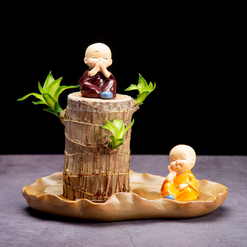 Brazilian Wood Plant, Lucky Wood, Groot Tree-Like Plant, Flowering with Buds, Low-Maintenance Green Plant, Small Desktop Potted Plant for the Office