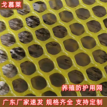 �S�Ҷ��ƾGɫ���|�W ��������ƽ�W �Ӻ���ȼ�G�����ϾW����