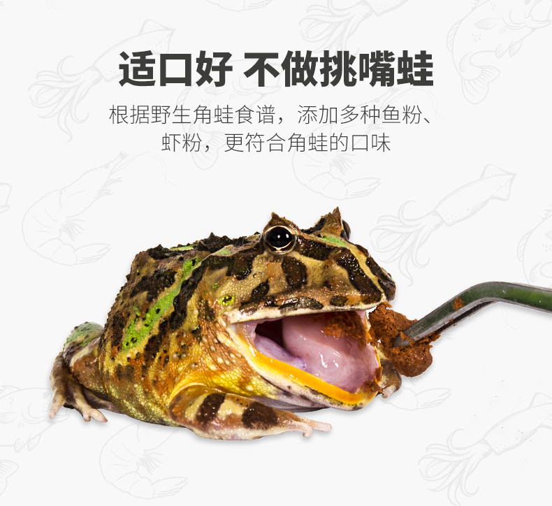 瑞皮Reptizoo角蛙蛙粮小丑黄金霸王钟角蛙活物食物饲料树宠物蛙粮-阿里巴巴