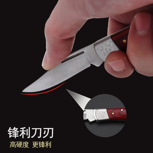 Mini Foldable Pocket Fruit Knife High Hardness Multi-functional Small Knife Stainless Steel Keychain Portable Outdoor Self-defense Knife
