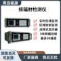 核辐射实时辐射监测检测仪