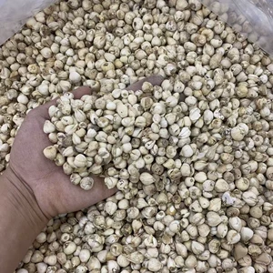 Сычуаньская фритиллярия, прямые продажи, оптовая продажа, бесплатная доставка на дом, лекарственные материалы, большие количества, льготные.