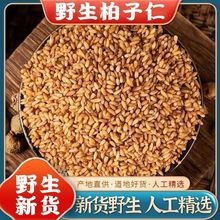 正宗柏子仁优质柏子仁高温烘焙柏子仁泡水泡茶优质正品炒柏籽仁茶