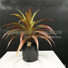 ���������m��߅��߅���鄦�m��٘�͏d�bz�m�����ֲ���辰