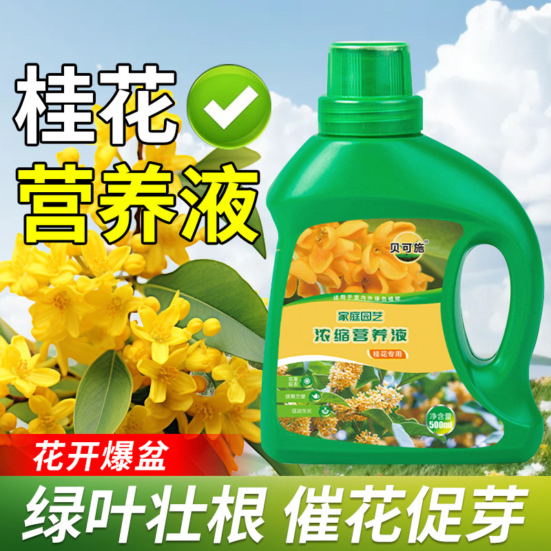 厂家桂花专用营养液植物通用花肥水培发财树园艺用贝可施批发代发