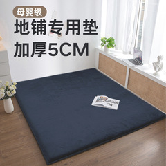 一件代发 5cm纯色简约榻榻米床垫加厚海绵褥子铺底炕垫地铺睡垫