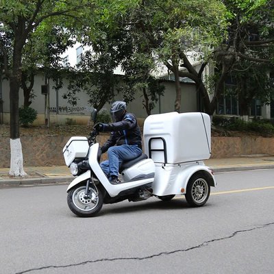 İstirahət litium batareyalı böyüklər üçün elektrikli üçtəkərli motosiklet ixrac skeytbord