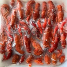湖北456钱液氮满肉冷冻清水小龙虾餐饮商用速冻冷冻小龙虾厂家直
