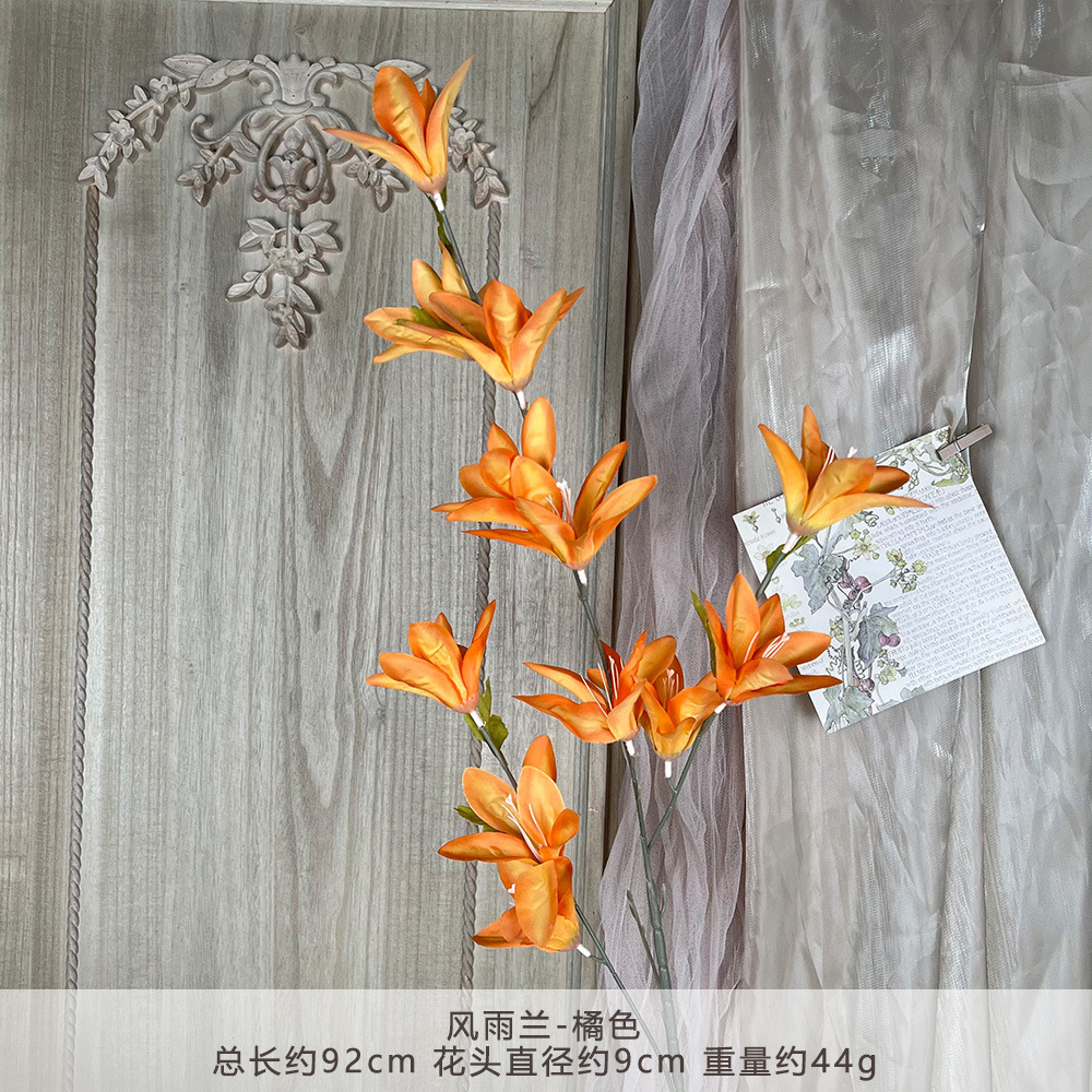 XQ-Wind và Rain Orchid-Orange