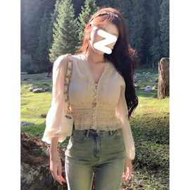 春季法式V领蕾丝衬衫女2025新款早秋独特小衫收腰短款雪纺上衣女