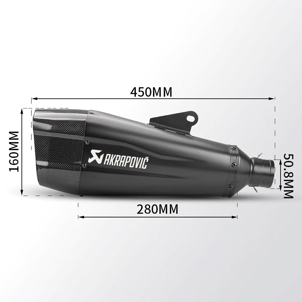 Motorcycle modified exhaust pipe double hole universal tail section modified exhaust tail section carbon fiber zx4rr/GSX-1000