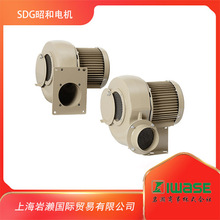 SDGѺ늙CСpֱ͟ʽLCFS-H22HT