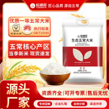 ԣ�������B�峣����10kg2025�����ז|�����׾������״������l20��
