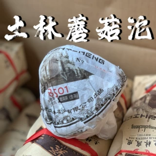 土林凤凰2021年蘑菇沱250g生茶紧茶春茶无量山普洱茶生普烟香春茶