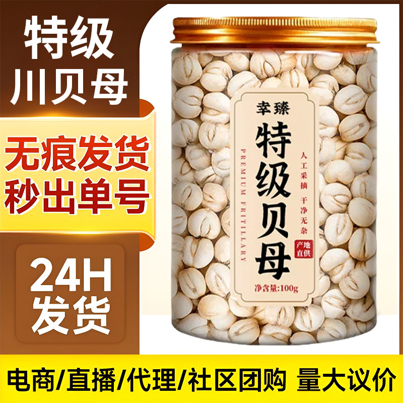 Premium Sichuan Fritillaria Bulb 100g Dried Chuan Bei Mu for Herbal Decoction and Soup specifications