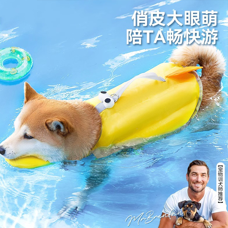 Verano perro ojos grandes lindo niño nadando gran flotabilidad chaleco salvavidas mascota traje de baño de tela Oxford impermeable ropa para perros de secado rápido