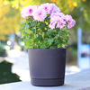Plastic flowerpot, pelvic correction belt, round resin for growing plants