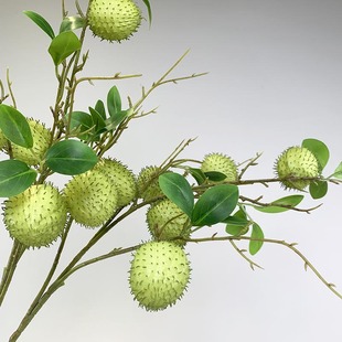 ������ٻ����滨�������޿͏d�廨��c��ˇ�bY�鲼�ô������