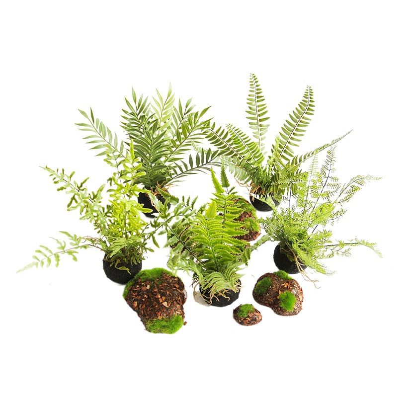 Simulation Fern Mini small potted handmade fake Jue tree green plant small bonsai desk tea desktop green plant