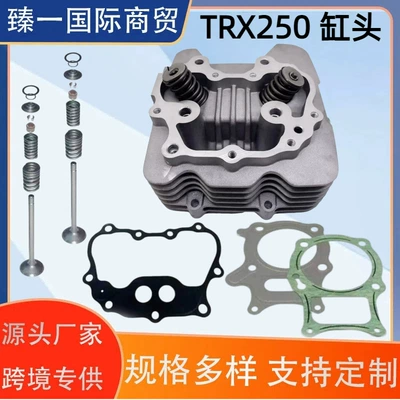 Trx250 Silindr Başlığı Yığılması Honda Trx250 Atv üçün 12200-Hm8-30