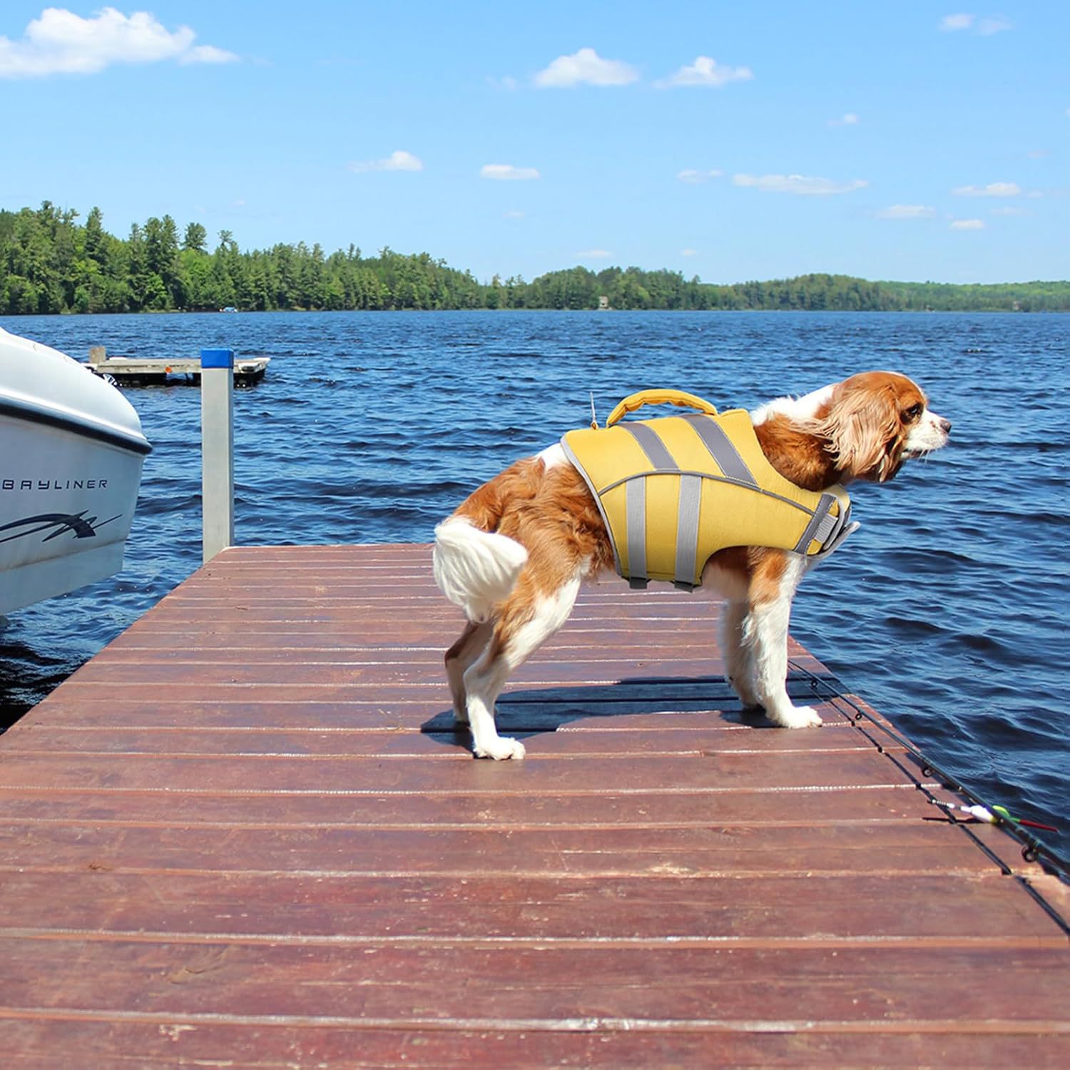 Dog Life Jacket
