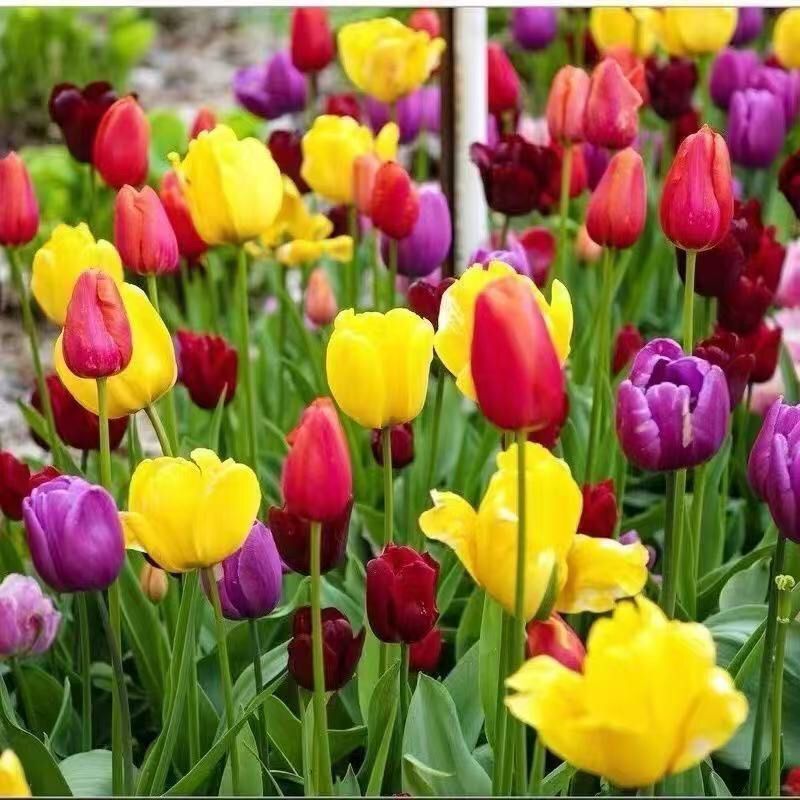 1b66dd47-8d60-4b03-8c89-a2e82fe25c5e.jpe