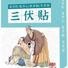 艾草各种养生保健艾灸贴好用实惠三伏贴三伏贴