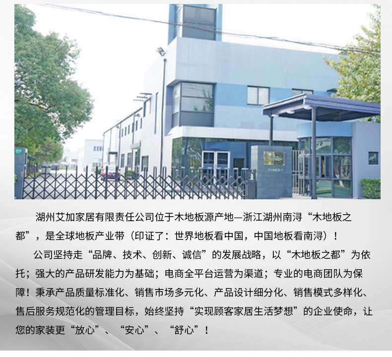 艾加详 情_03.jpg