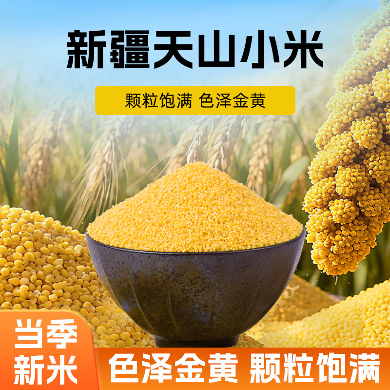 Xinjiang Direct Delivery Tianshan Yellow Millet 550g Bagged Whole Grains Breakfast Porridge Wholesale Free Shipping