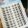 Su Shiji 10 rows (no tools)