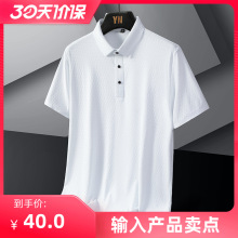 �羳��ópolo�����ļ�С�����˿��������¿�t����ʿ�ᱡ������