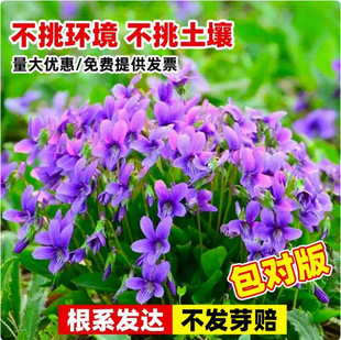 �ϻ��ض��N������ș���ϻ��ض����N���ļ��Nֲ����ș�ÿ�ض��N��