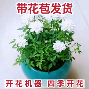 ���¼���ݗ������΢�辰�̨���洰̨�ļ��_���������Gֲ�҃Ȼ���
