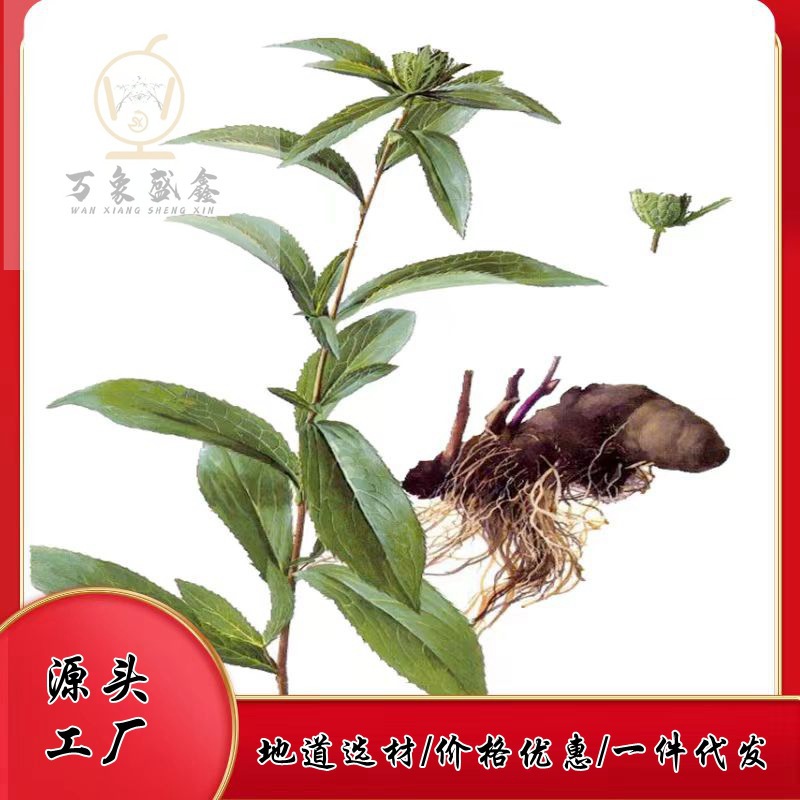 苍术苍株秦巴山区野外生长无硫无蛀虫全干产地一手货源厂家批发