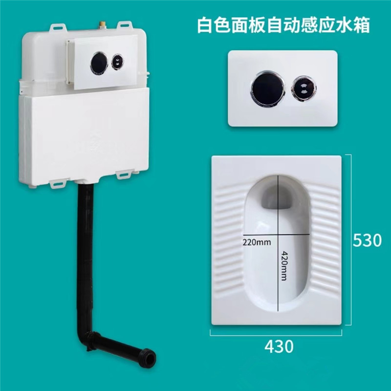 In-wall-type induction water tank + white ceramic squat pit