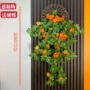 仿真客厅挂墙植物假花