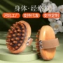全身刮痧定制按摩经络刷