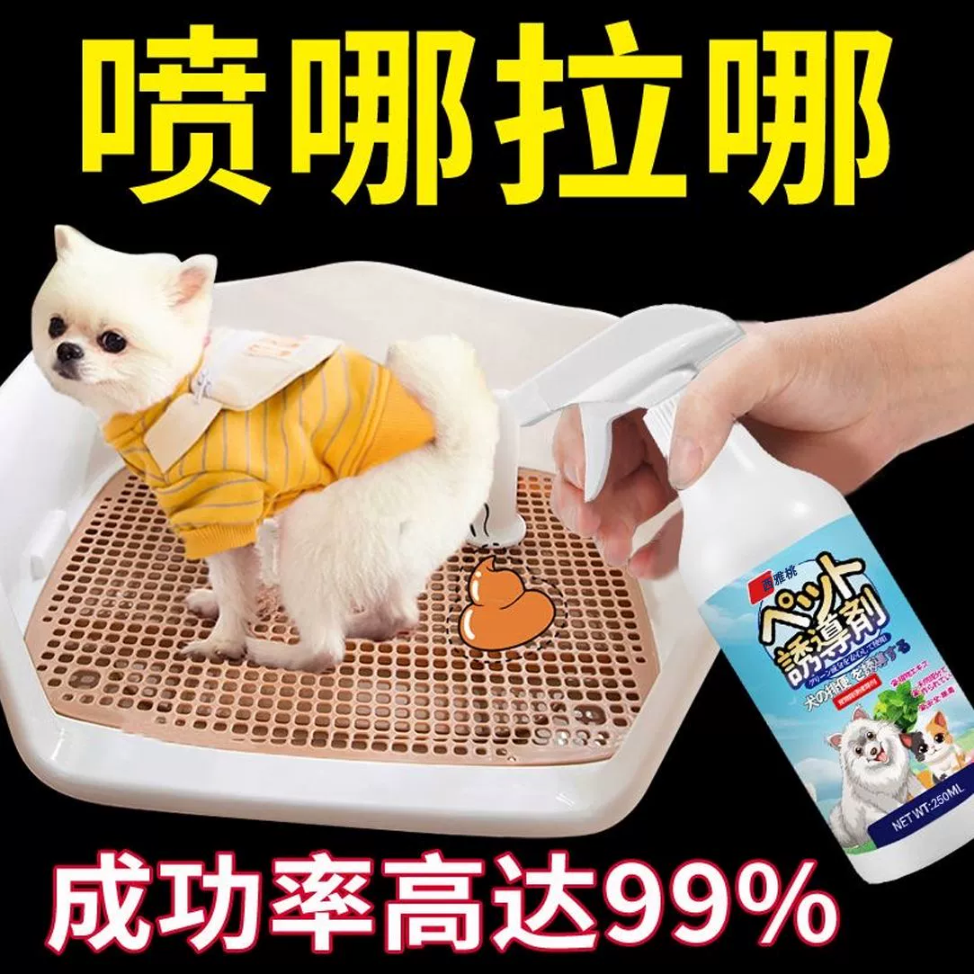 Собачьи индукенты Собаки мочеиспускание Собаки в туалете