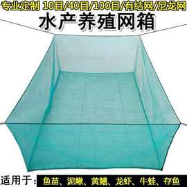 10目3mm泥鳅黄鳝养殖网箱水产育苗存鱼夏花网箱养鱼暂养防逃鱼箱