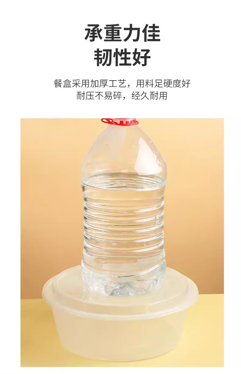 9d056603-e91b-4e20-94f9-8819ebfb84b7.jpe